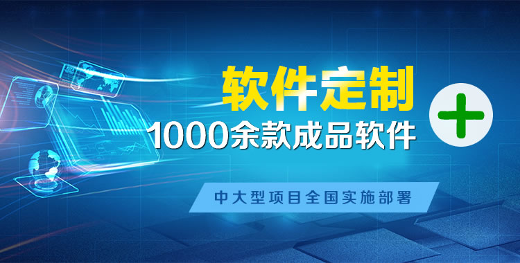 龙安软件开发